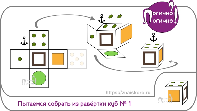 Мысленно собери куб из развертки для проверки гипотезы