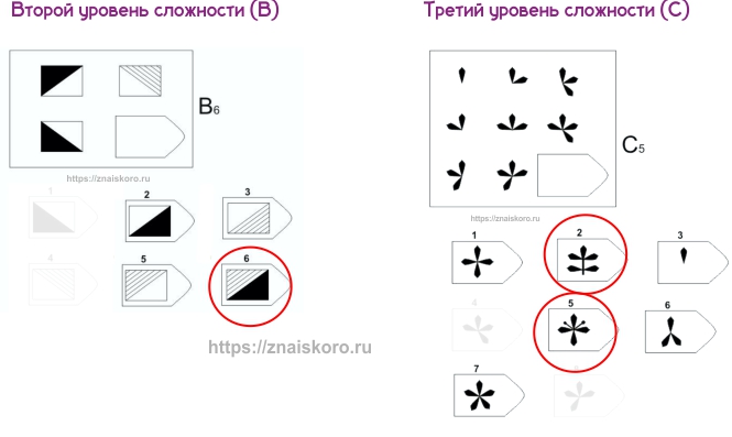 Тест на айкью Равена: абсурдный вариант ответа