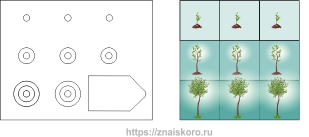 Тест на iq – лёгкое начало уровня С 