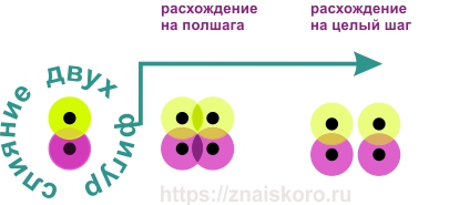 Картинки для тренировки мозга: раскладываем по шагам